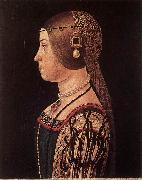 ARALDI, Alessandro Portrait of Barbara Pallavicino oil